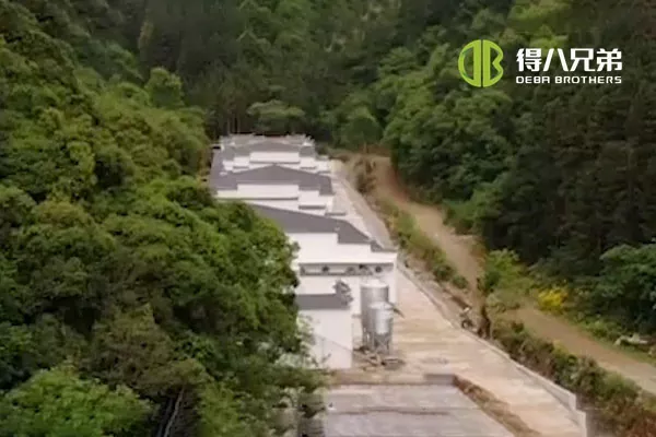 ãSistem pakan cairãAnhui Huangshan 400 sows farm