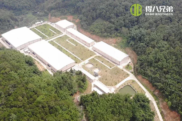 ãSistem pakan cairãGuangdong Zhaoqing 20000 penggemukan 10000 peternakan babi.