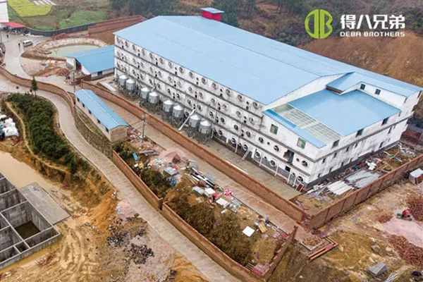 ãProyek MultilantaiãHunan Shaoyang Multi Storey 3600 sows farm