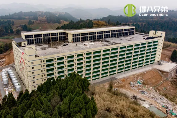 ãProyek BertingkatãSichuan Qiquan group 10000 sows farm