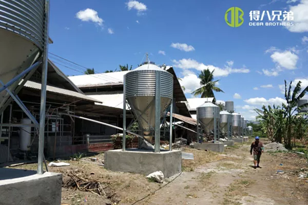 ãFarrowing unitãFilipina Davao sow farm