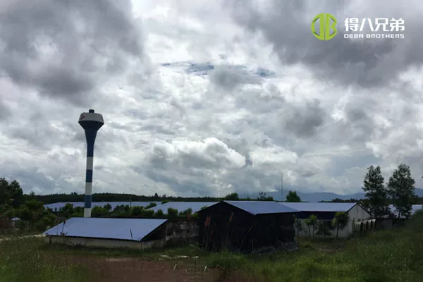 ãProyek lengkapãProyek Vietnam Hochiminh 1200 sows