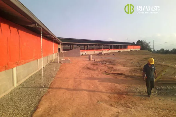 ãProyek baris lengkapãProyek 500 sows Kolombia