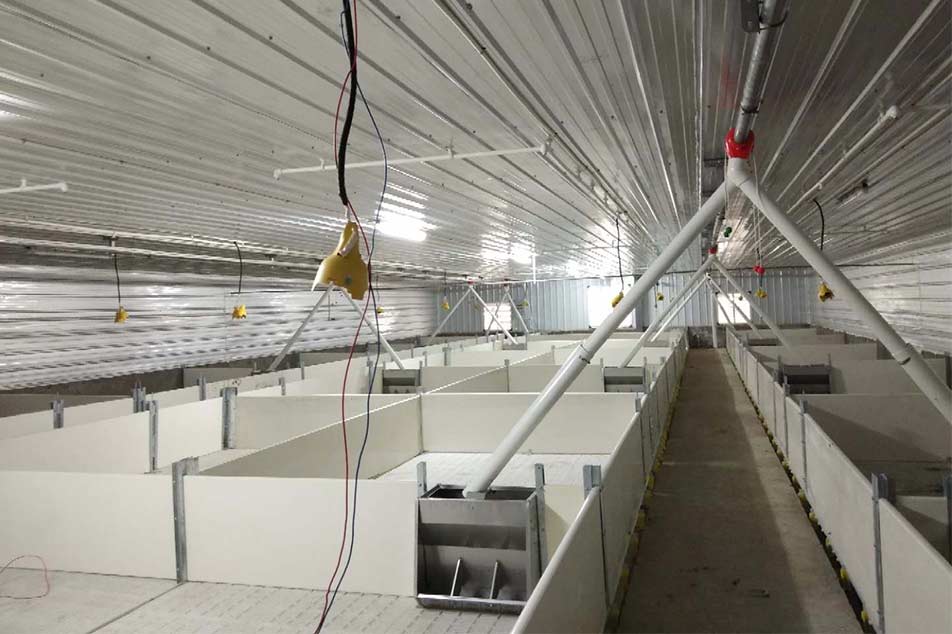 Desain Panel Wall PVC Babi Berkualitas Tinggi kanggo Farrowing Crates - Debabrothers