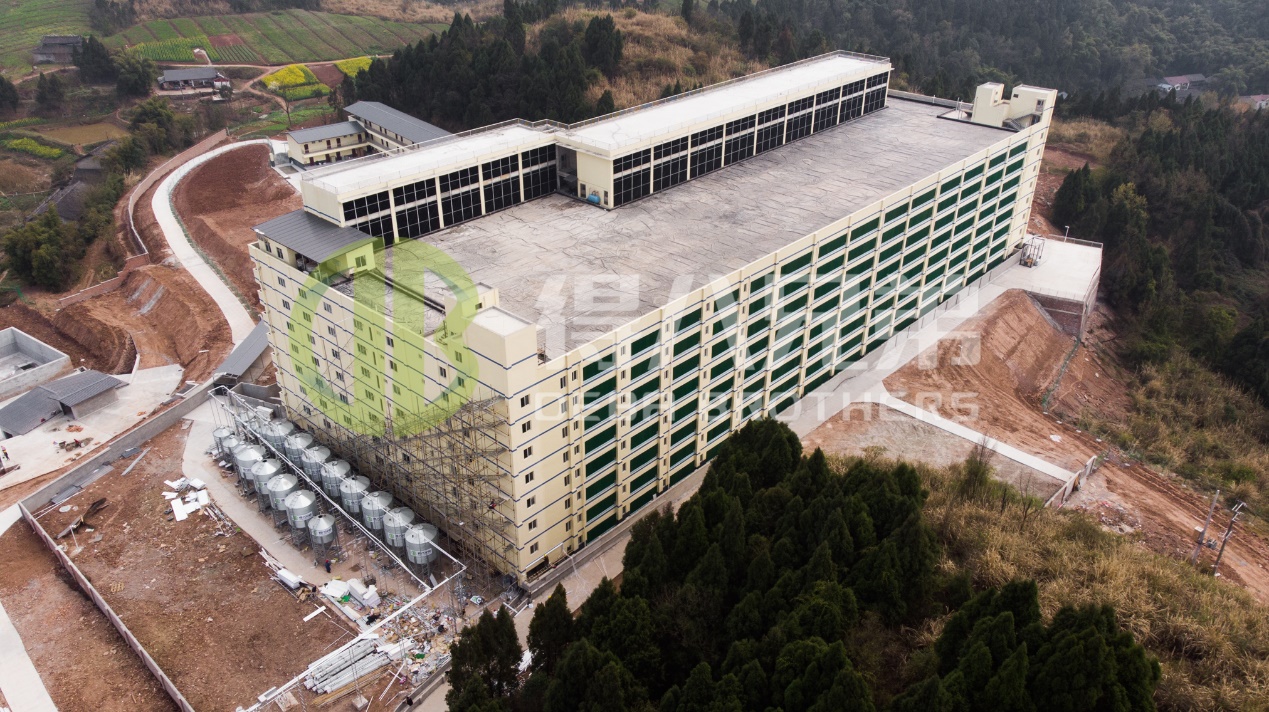 Carane Ngapikake Kualitas Lingkungan ing Desain Peternakan Babi Modern