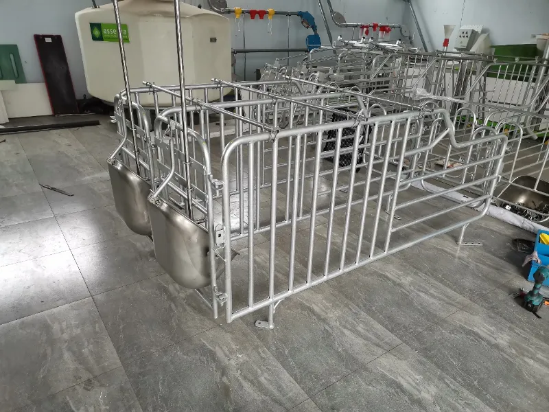Kaluwihan inti saka Hot-Dip Galvanizing kanggo Babi Farming Pen Equipment