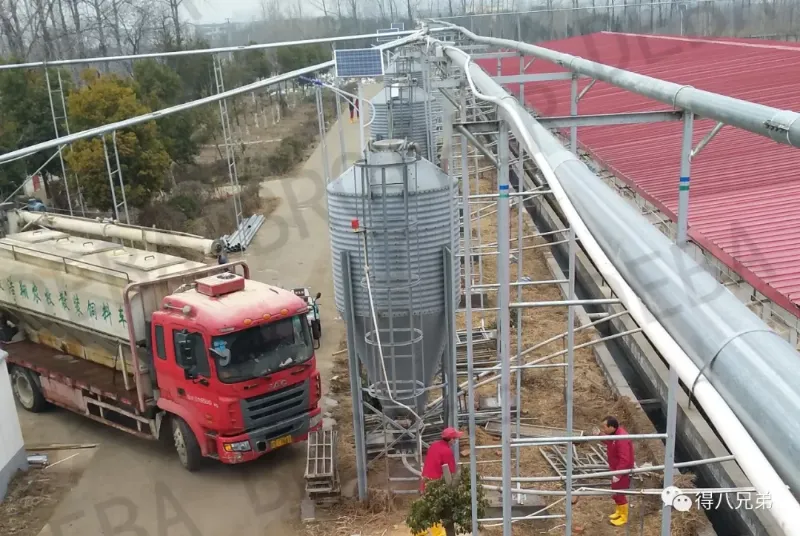 Large-Diameter Conveying Feeding Line: A Powerful ASF Defense Tool Imported from Europe