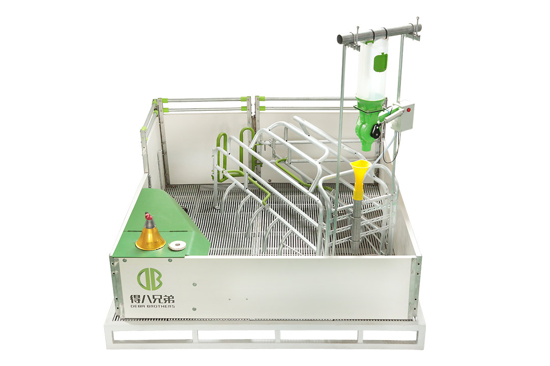 WELSAFE Farrowing Pen kanggo sows ngeculke - Fokus ing kesejahteraan kewan